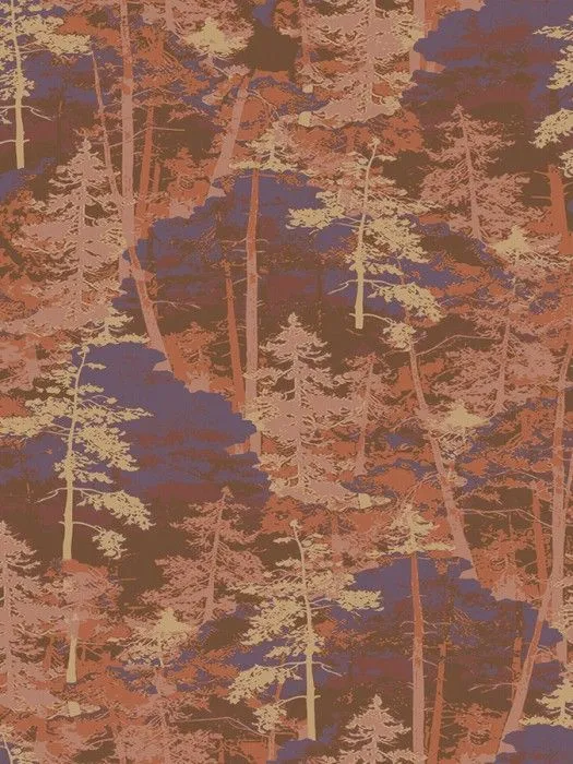 AM2 003