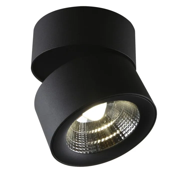 Спот Divinare URCHIN 1295/04 PL-1 | Дом Декора