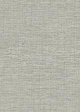 Обои JWall Forest 50149