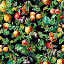 Обои Marburg Gloockler Pompoos Provence 35634