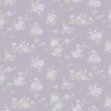 PR7 021