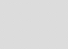 Обои Grandeco Jack 'n Rose 2024 JR 1111