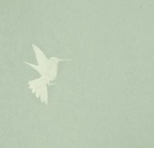 Обои Bernardo Bartalucci Legend 5071-7