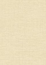 Обои JWall Forest 50142