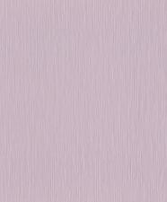 Обои Rasch Curiosity 537642