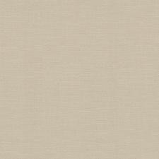 Обои Rasch Kalahari 700459