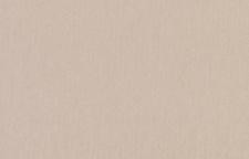 Обои Loymina Rosa Dragomirski R5 002