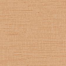 Обои Alessandro Allori Grace RWT1807-9