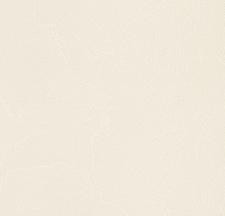 Обои Andrea Rossi Spectrum Plus 54351-2