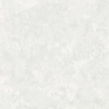 Обои Аспект Анаконда 70587-14