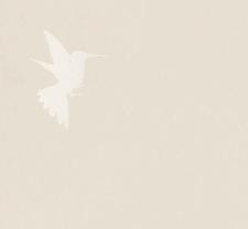 Обои Bernardo Bartalucci Legend 5071-1