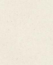 Обои Rasch Concrete 520828