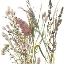 панно Marburg Boho 35798